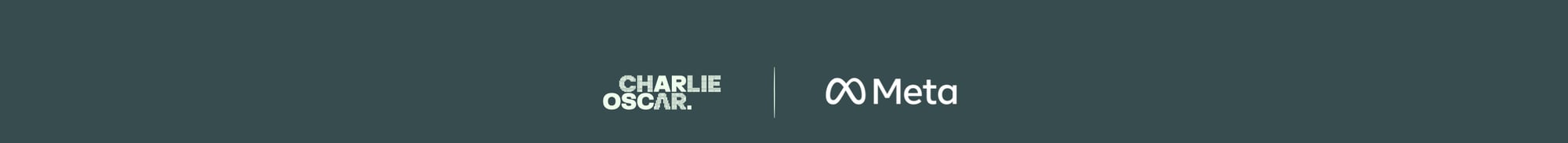 CO x Meta Logos (1100 x 220 px) (1100 x 100 px)